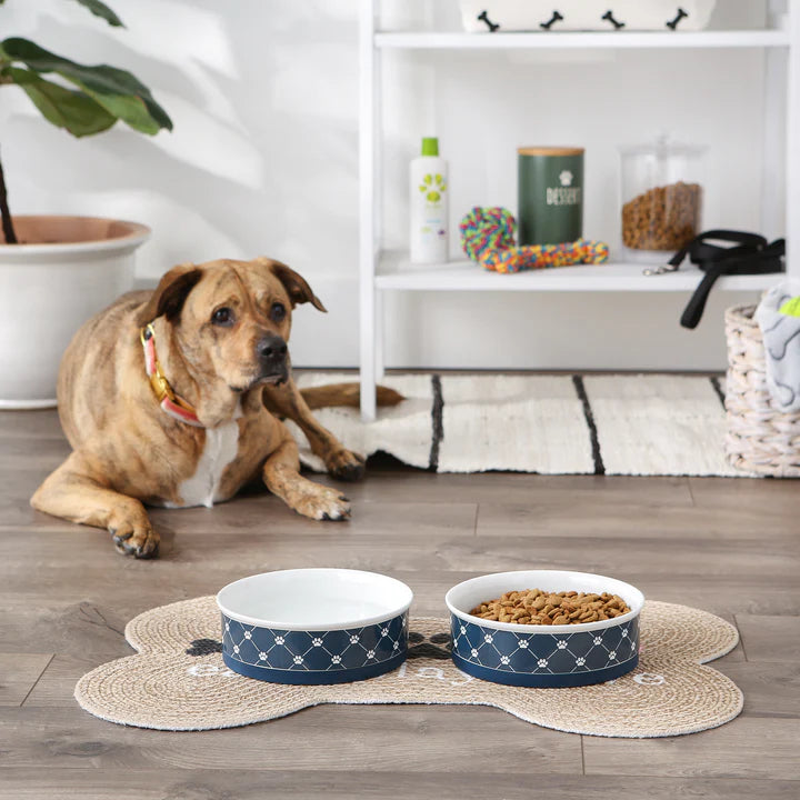 Bone Dry Trellis Pet Bowl (Set of 2)